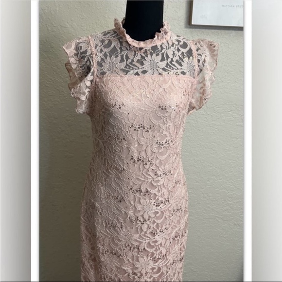 Alexa B Nites Dress Lined Shell Pink Blush Sequins Size 6 - Picture 2 of 7